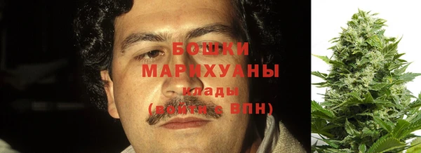 прущие грибы Навашино