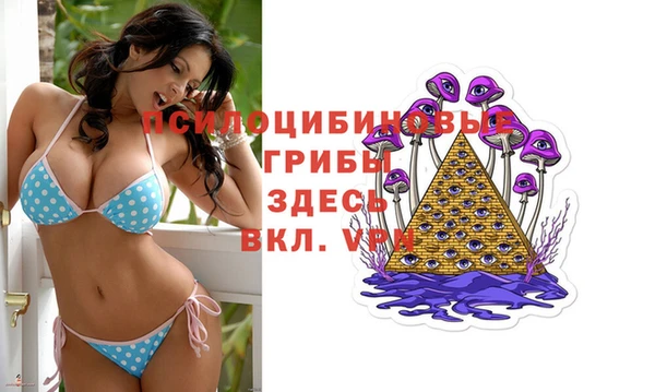 не бодяженный Надым