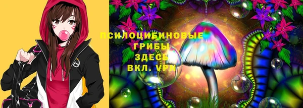 прущие грибы Навашино